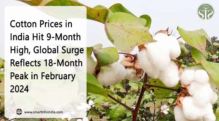 Cotton Prices in India Hit 9-Month High, Global Surge Reflects 18-Month Peak in February 2024"