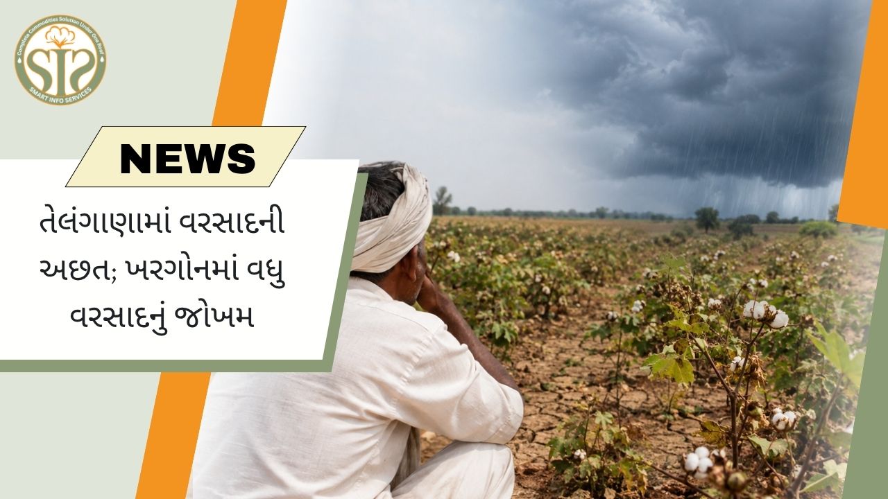તેલંગાણામાં વરસાદની અછત, ખરગોનમાં ફરી વરસાદનો ખતરો