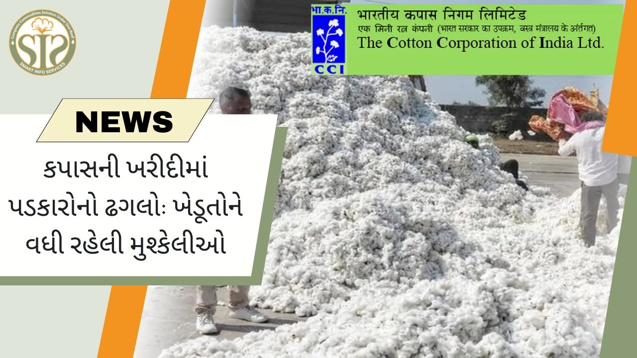 કપાસની ખરીદીમાં કટોકટી: ખેડૂતોની વધતી જતી મુશ્કેલીઓ
