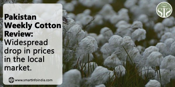 Pakistan Weekly Cotton Review: Widespread drop in prices in the local market.