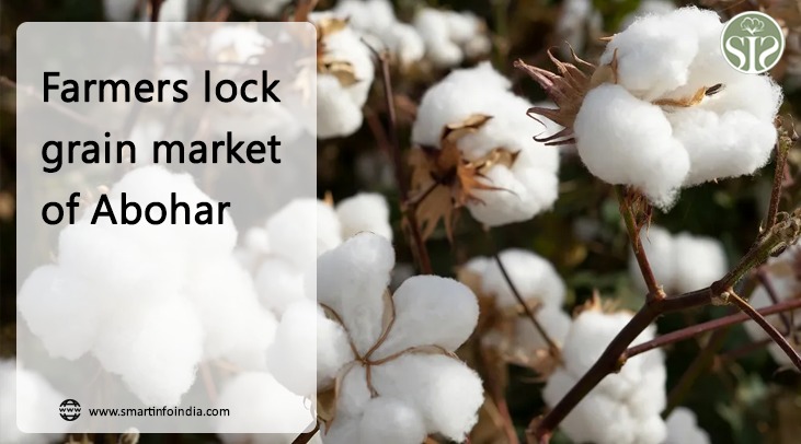 Farmers lock grain market of Abohar
