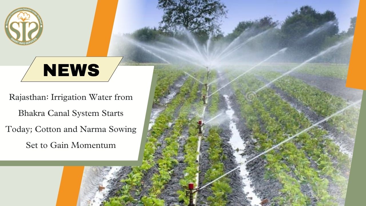 Bhakra Canal Irrigation Water Released in Rajasthan; Cotton and Narma Sowing to Accelerate