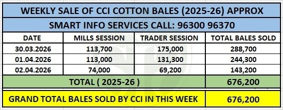 CCI ने कपास कीमतें ₹2,000 तक बढ़ाईं, साप्ताहिक बिक्री 6.76 लाख गांठ पार