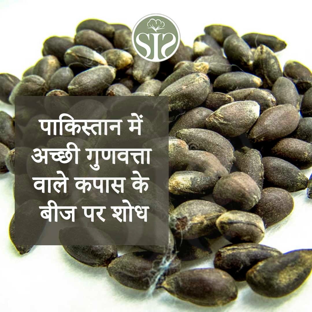 Research on good quality cotton seed in Pakistan