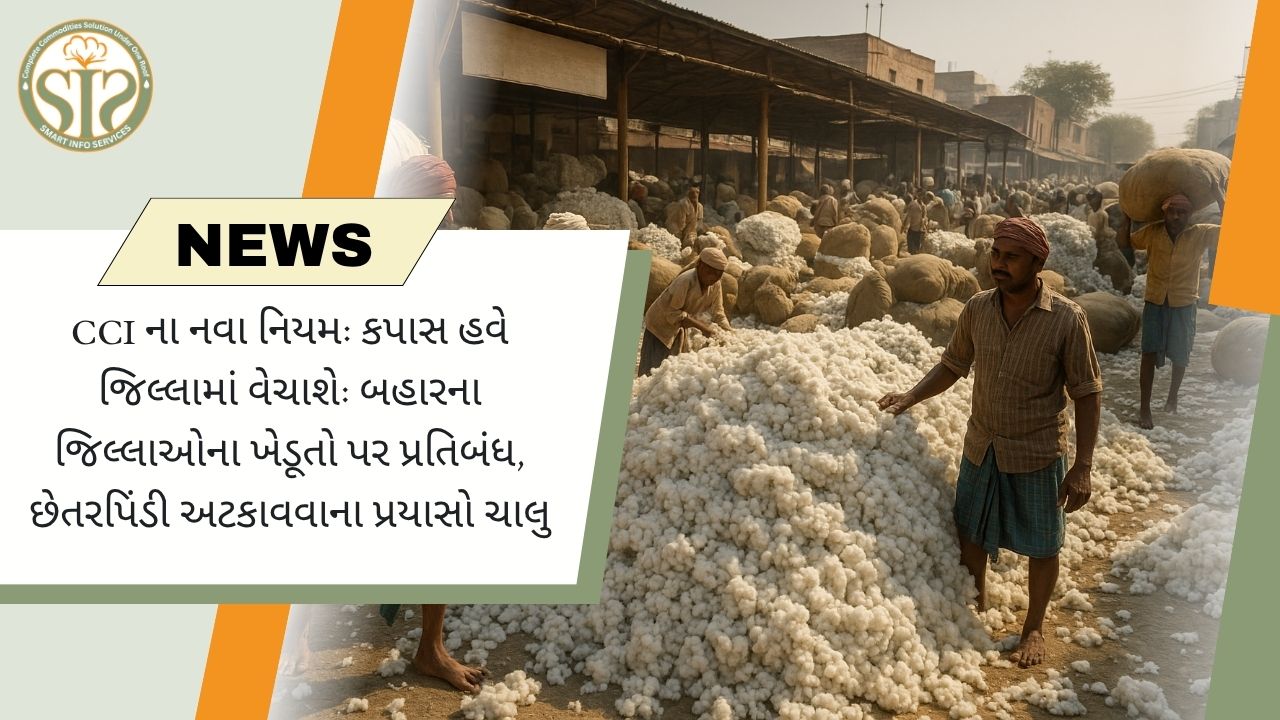 "CCI નો નવો નિયમ: કપાસ હવે ફક્ત જિલ્લામાં જ વેચાશે"