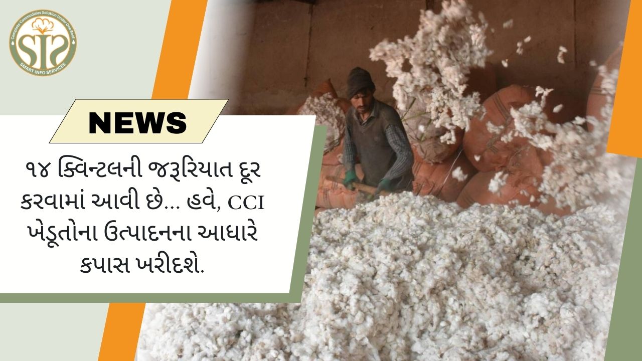 કપાસ ખરીદો પર 14 ક્વિંટલ સીમા સમાપ્ત
