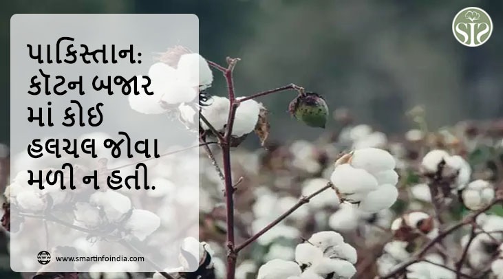 પાકિસ્તાનઃ કોટન માર્કેટમાં કોઈ હલચલ જોવા મળી નથી
