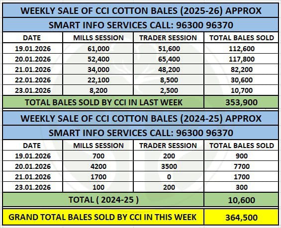 3.53 lakh bales of CCI sold through online auction