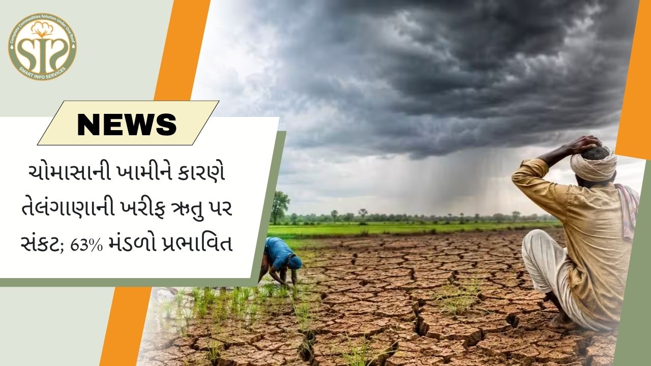 નબળા ચોમાસાથી તેલંગાણાની ખરીફ સિઝન સંકટમાં, 63% મંડળો પ્રભાવિત