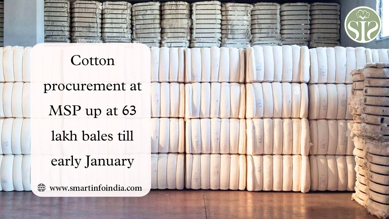 Cotton procurement at MSP up at 63 lakh bales till early January