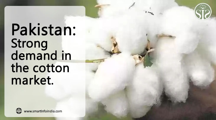 Pakistan: Strong trend in cotton markets