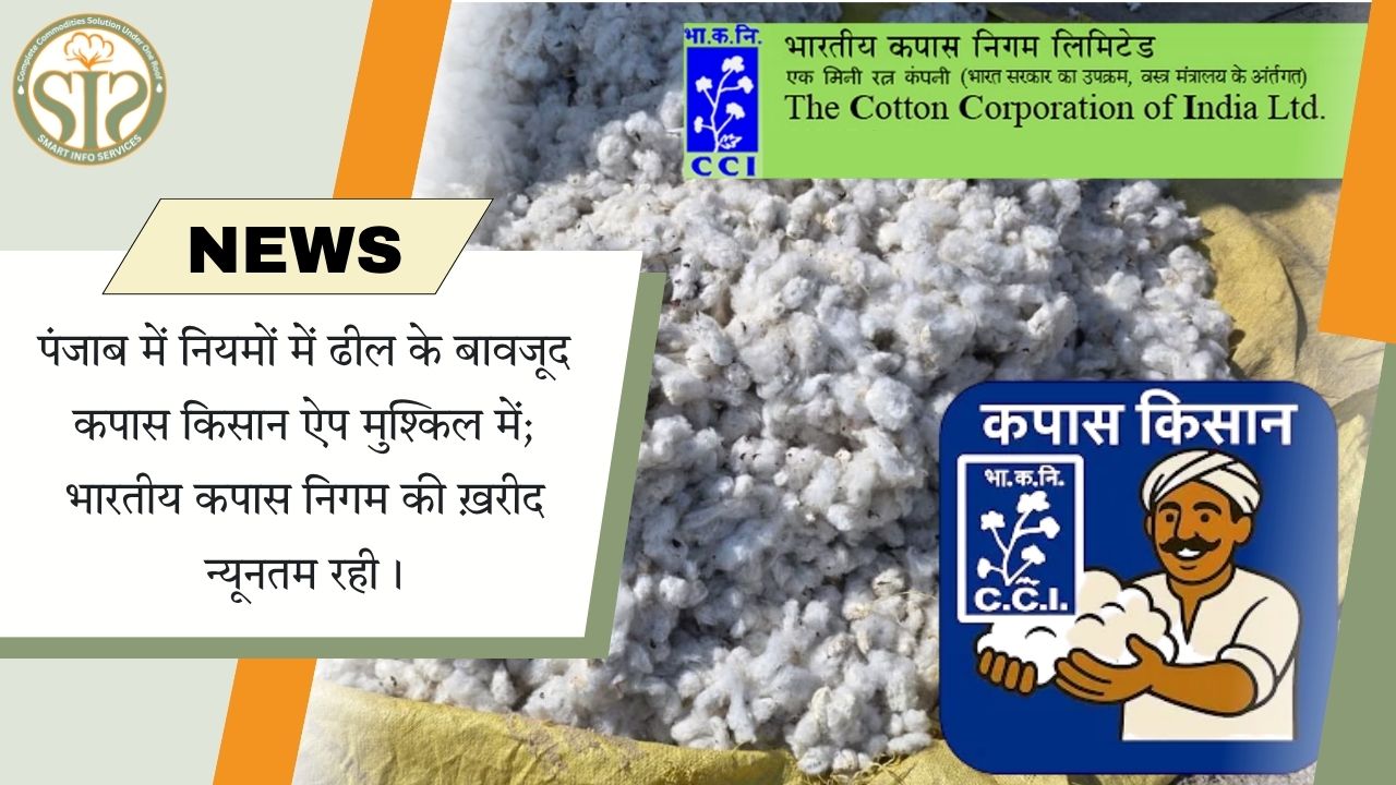 पंजाब में कपास ख़रीद न्यूनतम, किसान ऐप संकट में