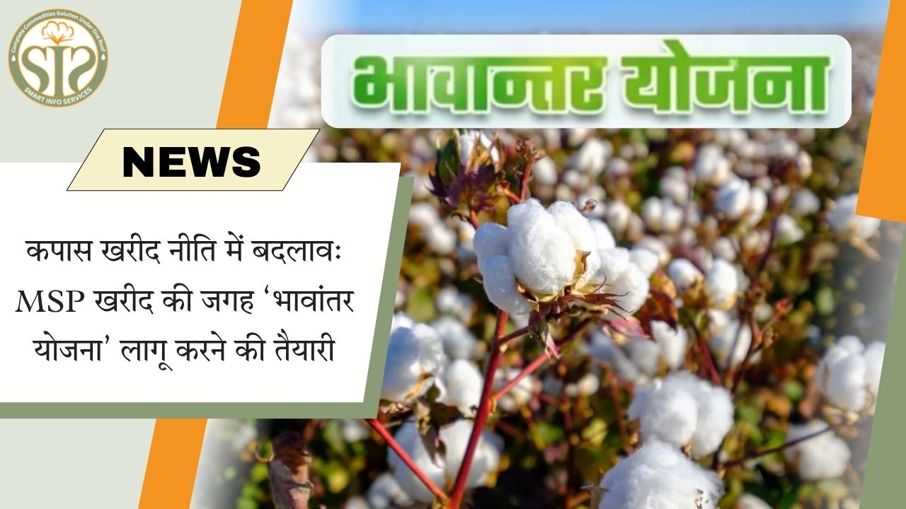 कपास खरीद नीति बदलेगी: MSP की जगह भावांतर योजना