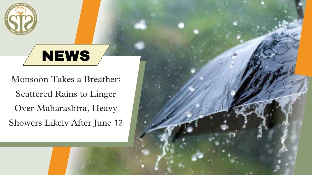 Monsoon Takes a Breather: Scattered Rains to Linger Over Maharashtra, Heavy Showers Likely After June 12
