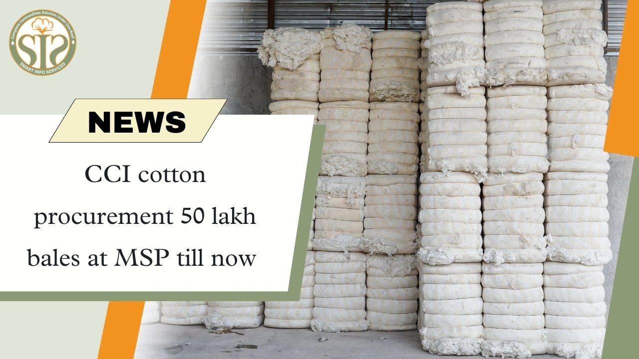 CCI cotton procurement 50 lakh bales at MSP till now