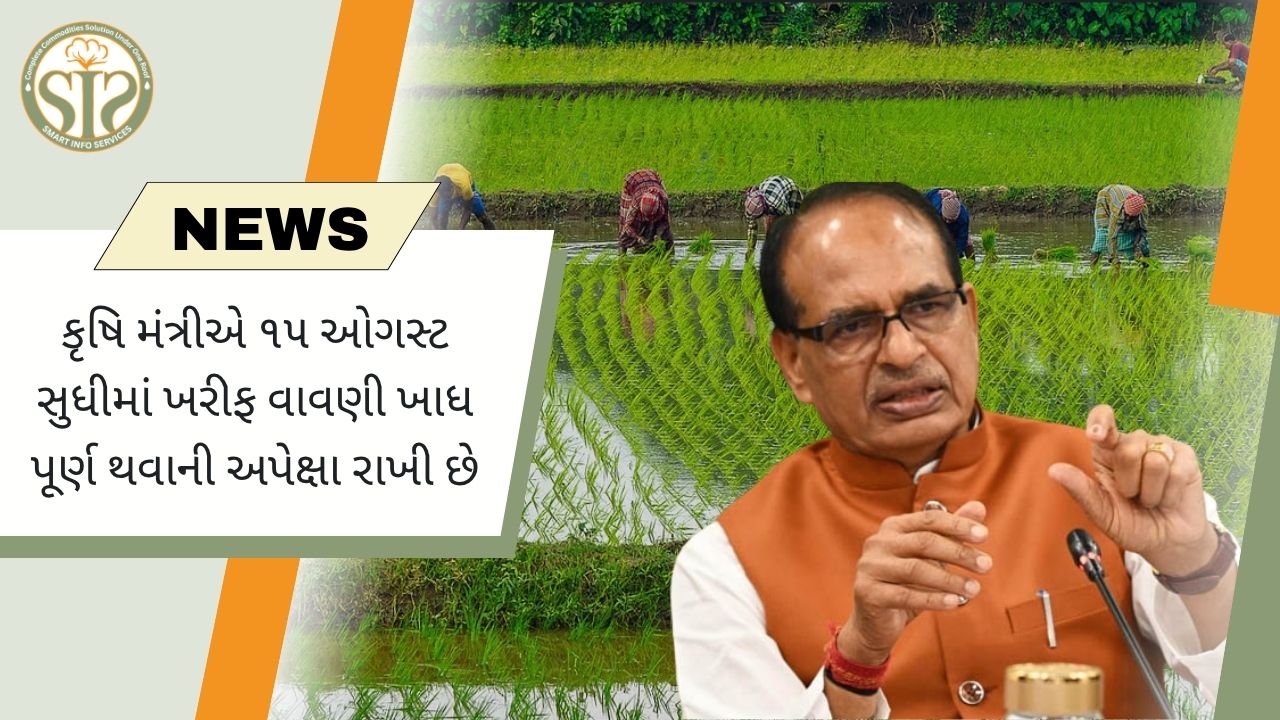 15 ઓગસ્ટ સુધી ખરીફ વાવેતરની ઘટ પૂરી થશે તેવી કૃષિ મંત્રીની આશા