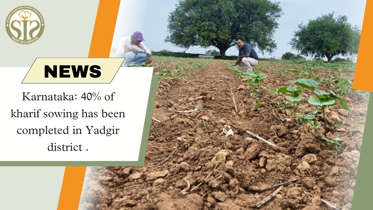 Karnataka: 40% of kharif sowing has been completed in Yadgir district.