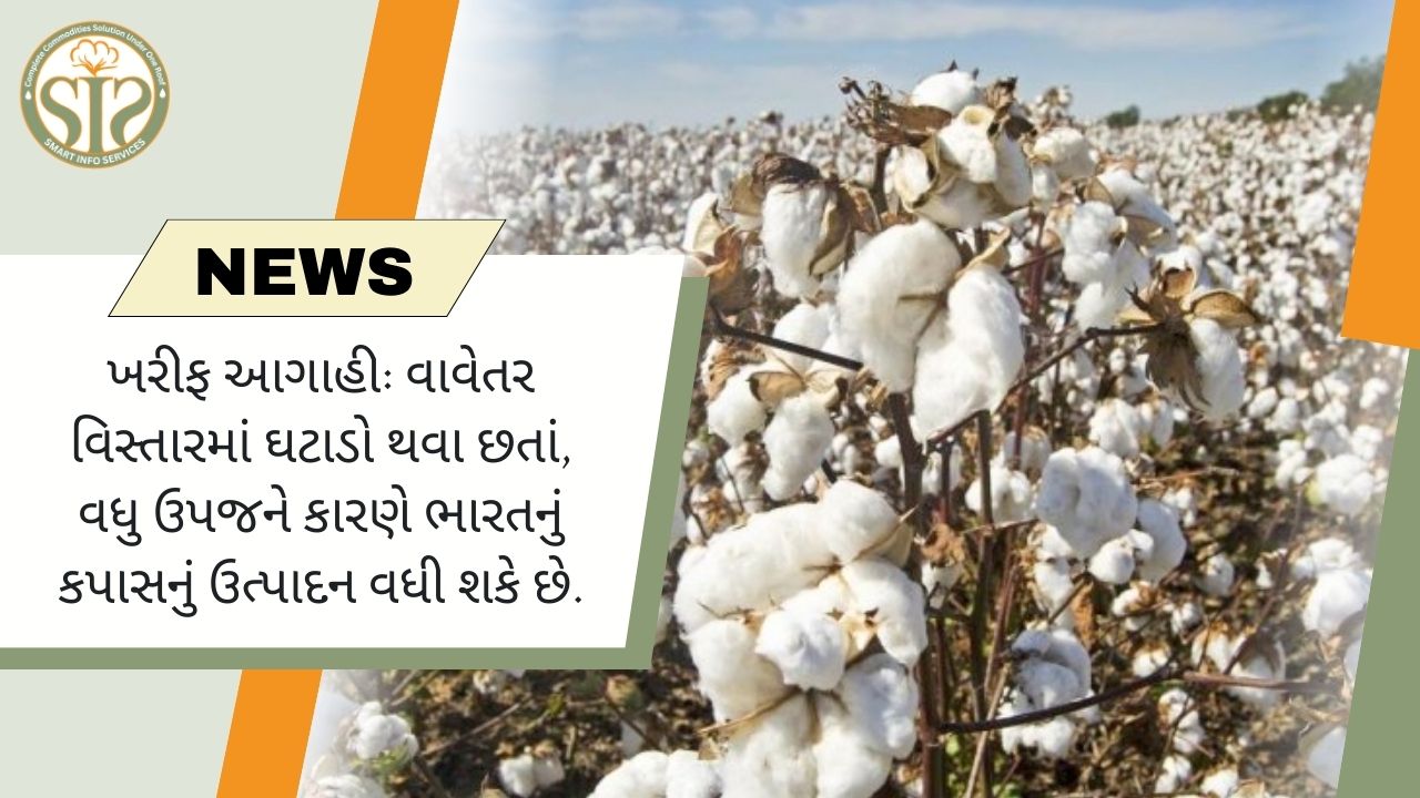 ખરીફ આગાહી: વાવેતર વિસ્તારમાં ઘટાડો થવા છતાં, વધુ ઉપજને કારણે ભારતનું કપાસનું ઉત્પાદન વધી શકે છે.