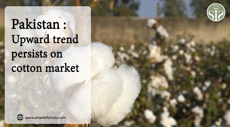 The bullish trend continues in Pakistan cotton market