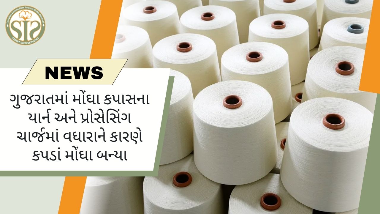 ગુજરાતના કાપડ ઉદ્યોગમાં ખર્ચ વધવાને કારણે કપડાંના ભાવમાં વધારો થયો છે.