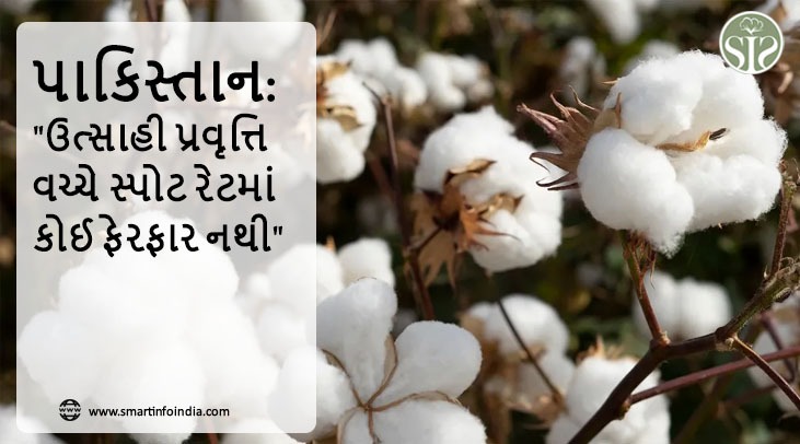 પાકિસ્તાન: "ઉત્સાહી પ્રવૃત્તિ વચ્ચે સ્પોટ રેટમાં કોઈ ફેરફાર નથી"