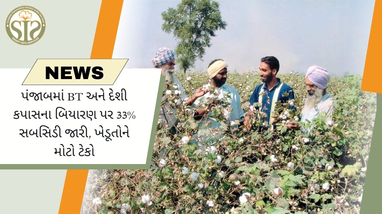 પંજાબમાં કપાસના બીજ પર 33% સબસિડી: ખેડૂતો માટે રાહત