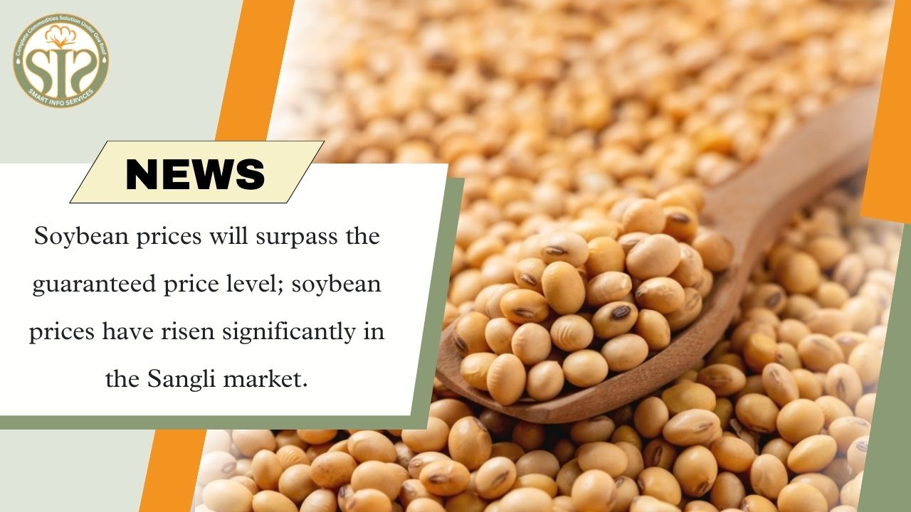 Soybean prices cross guaranteed price, rise in Sangli