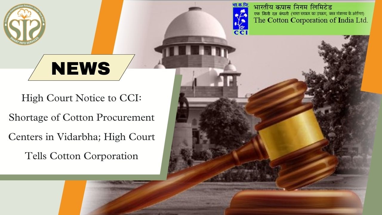High Court seeks response from CCI on lack of cotton centres in Vidarbha