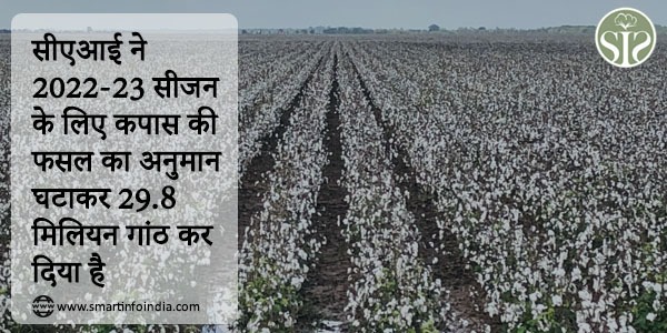 CAI lowers cotton crop forecast for 2022-23 season to 29.8 million bales