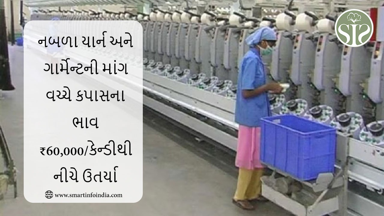 નબળા યાર્ન અને કપડાની માંગ વચ્ચે કપાસના ભાવ ₹60,000/કેન્ડીથી નીચે ગયા