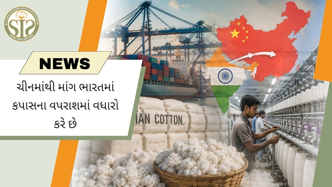 ચીનની માંગથી કપાસની ખપત વધી