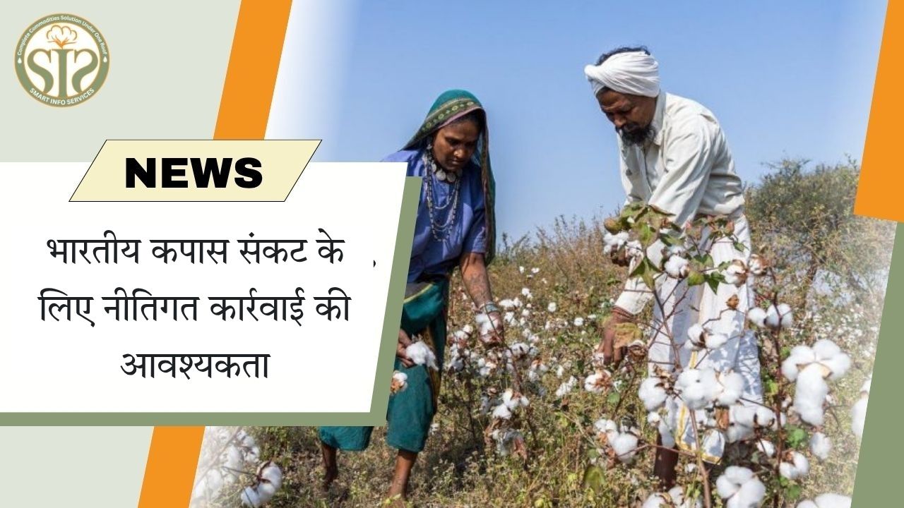 "भारतीय कपास संकट के लिए नीतिगत कार्रवाई की आवश्यकता"