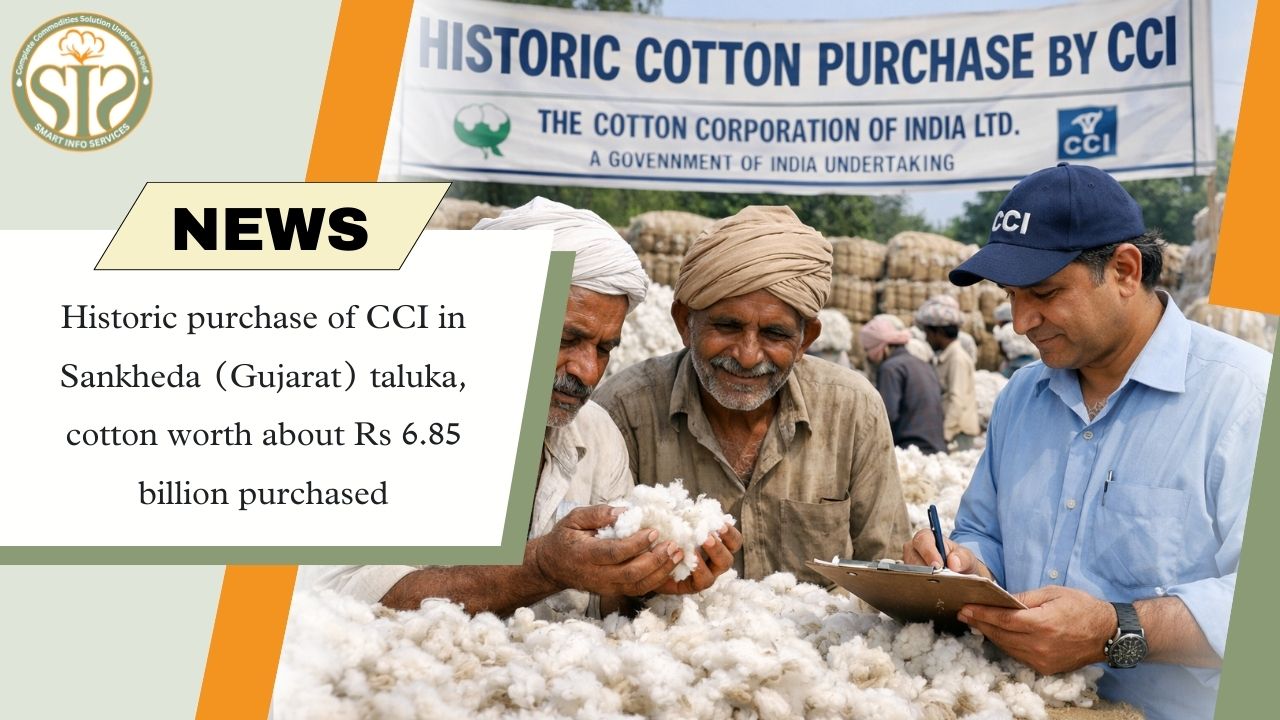 CCI records cotton purchase in Sankheda