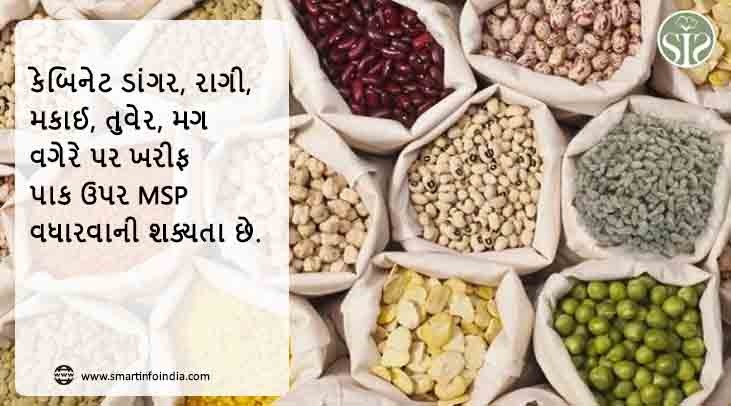 કેબિનેટ ડાંગર, રાગી, મકાઈ, તુવેર, મગ વગેરે પર ખરીફ પાક માટે MSP વધારવાની શક્યતા છે.