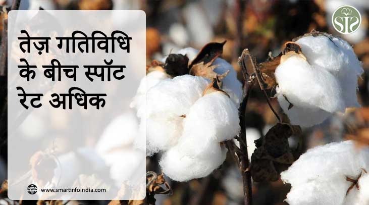 तेज़ गतिविधि के बीच स्पॉट रेट अधिक