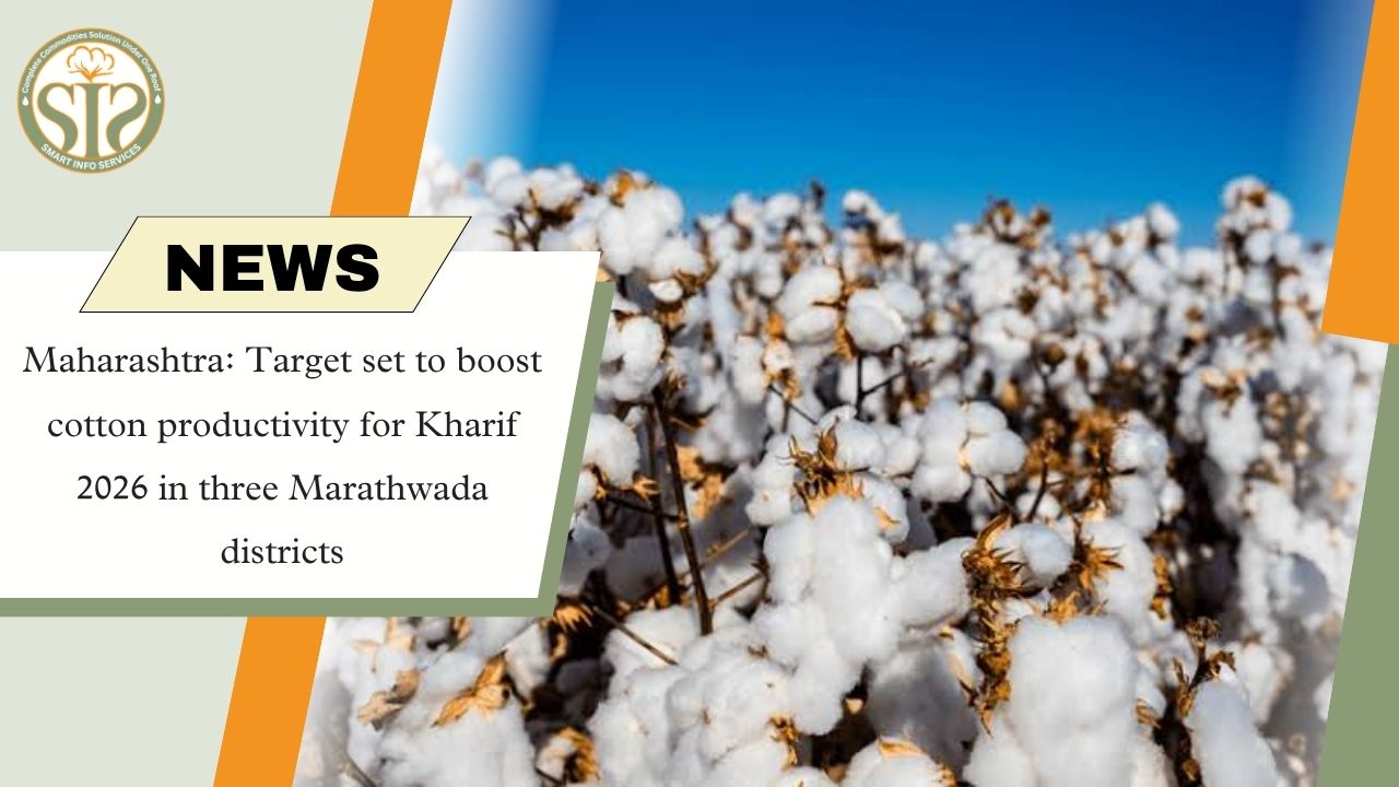 Maharashtra Targets Higher Cotton Productivity in Three Marathwada Districts for Kharif 2026
