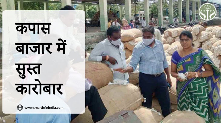 कपास बाजार में सुस्त कारोबार