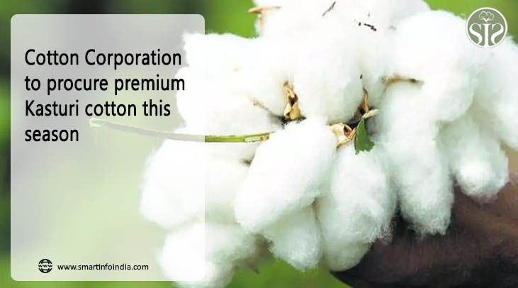 Cotton Corporation to procure premium Kasturi cotton this season