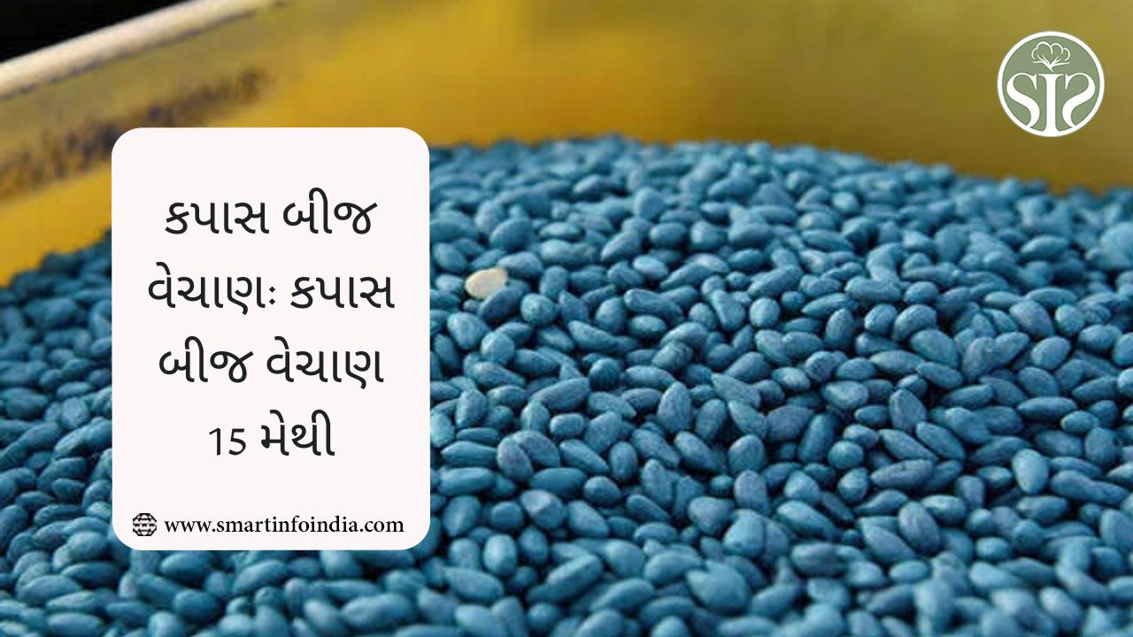 કપાસ બીજ વેચાણ: કપાસ બીજ વેચાણ 15 મેથી
