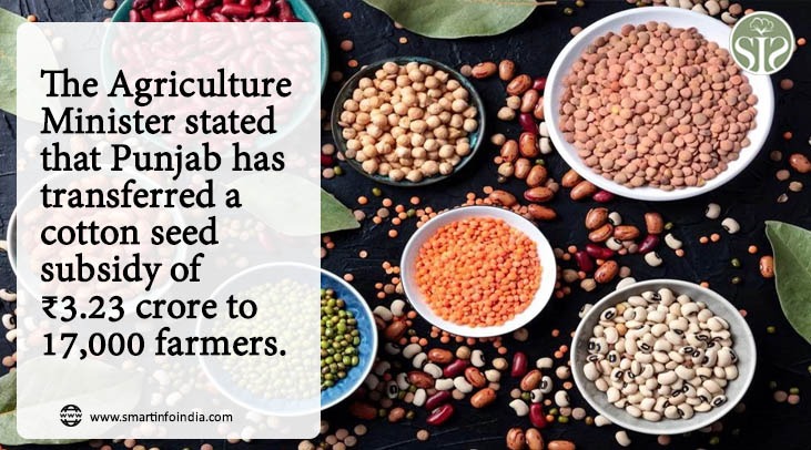 Agriculture Minister said, Punjab transferred ₹ 3.23 crore cotton seed subsidy to 17 thousand farmers