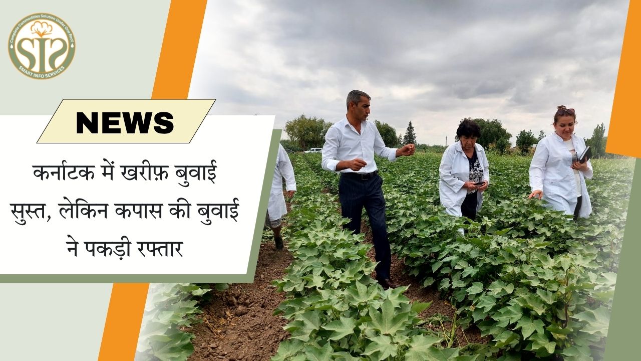 कर्नाटक में खरीफ बुवाई धीमी, कमजोर मानसून के बीच कपास की बुवाई में तेजी