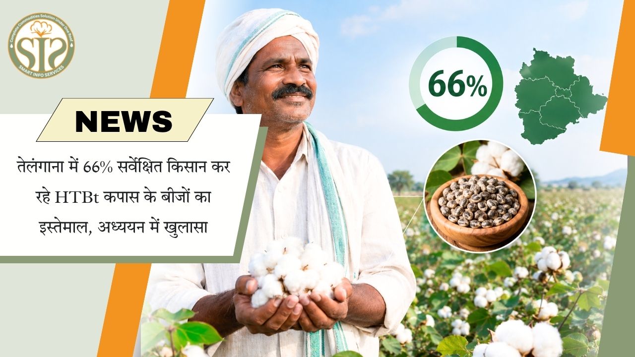 તેલંગાણાના સર્વે કરાયેલા 66% ખેડૂતો HTBt કપાસનાં બીજ વાપરે છે