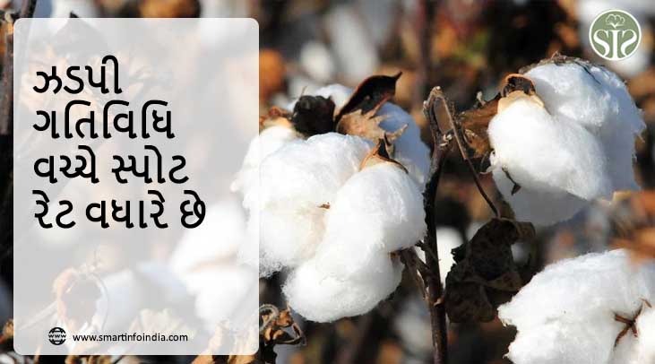 ઝડપી ગતિવિધિ વચ્ચે સ્પોટ રેટ વધારે છે