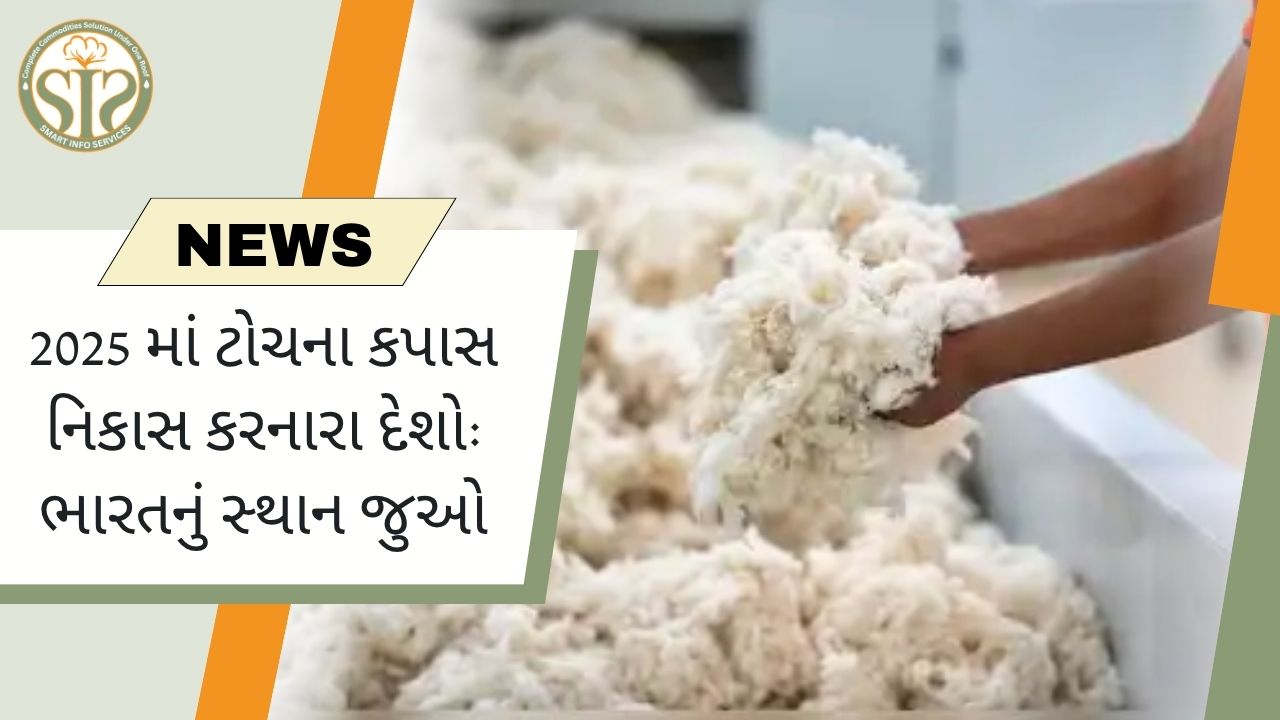 2025 માં કપાસ નિકાસ કરતા દેશો: ભારતનો રેન્કિંગ