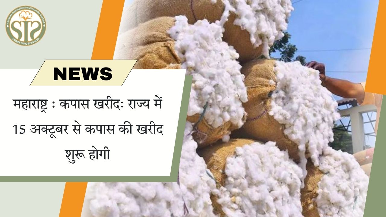 महाराष्ट्र: राज्य में 15 अक्टूबर से कपास खरीद शुरू