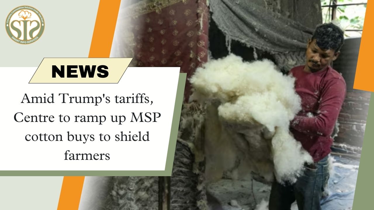 Government will increase MSP purchase on cotton amid tariff