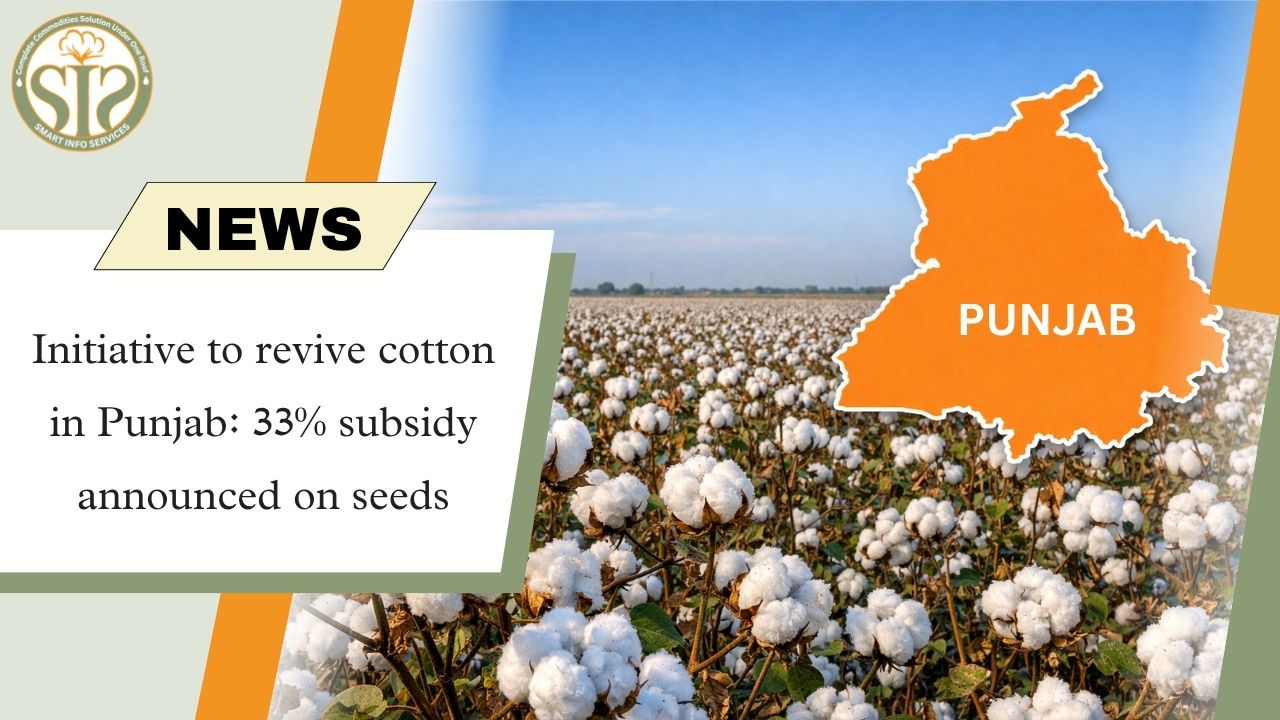Cotton promoted in Punjab, 33% subsidy on seeds