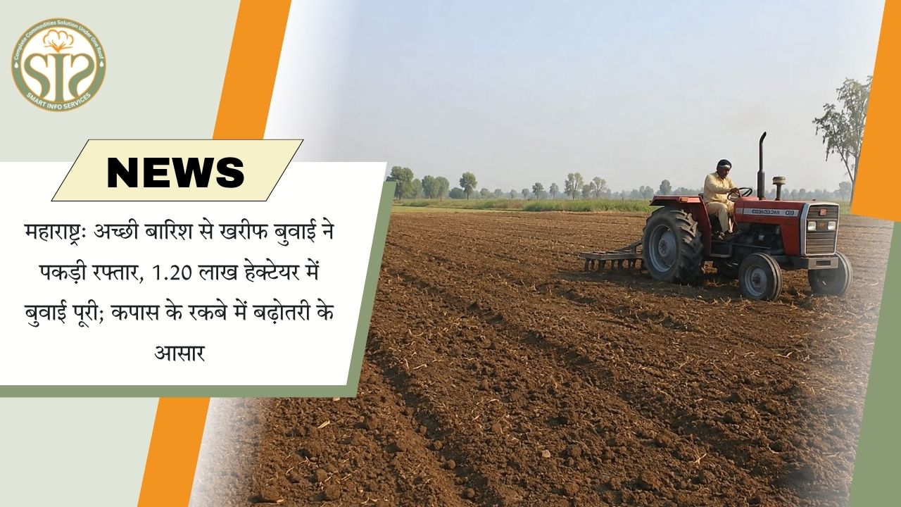 अकोला में खरीफ बुवाई तेज, कपास बढ़ेगा