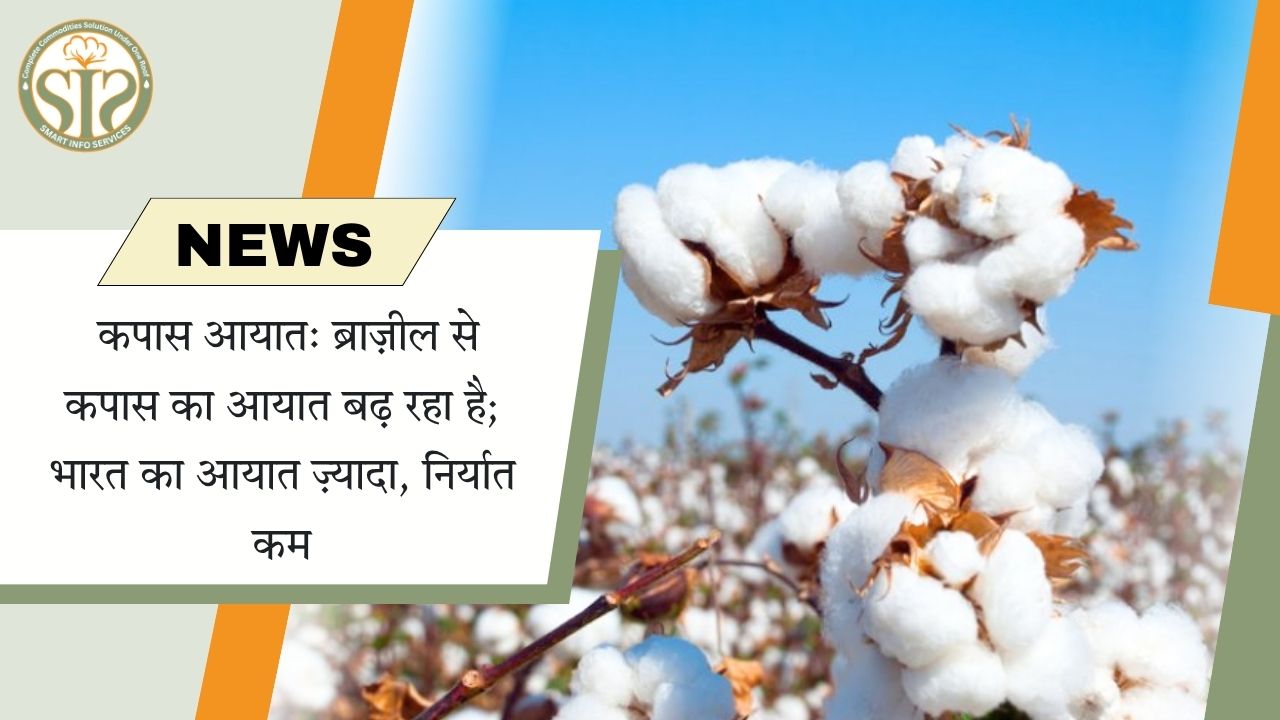ब्राज़ील से कपास आयात में बढ़ोतरी, भारत का आयात ज़्यादा, निर्यात कम