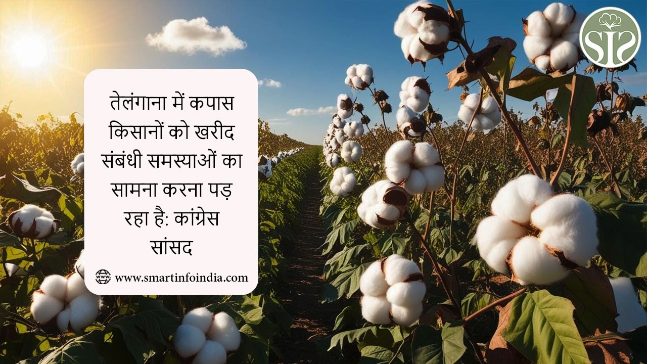 तेलंगाना में कपास किसानों को खरीद संबंधी समस्याओं का सामना करना पड़ रहा है: कांग्रेस सांसद